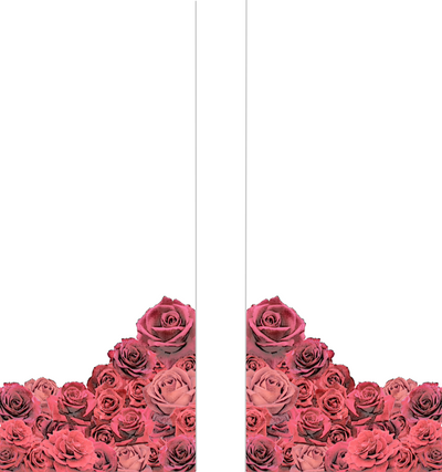 Manga style Rose curtains  (2 panels)