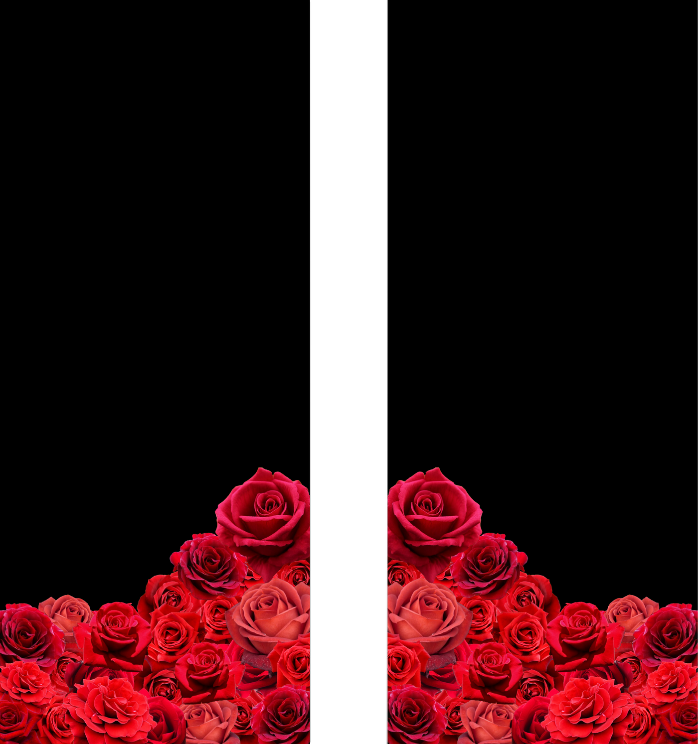 Red Roses Curtains on black - (2 panels)